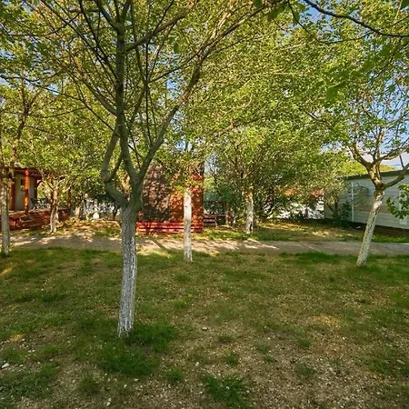 With Parking Space Babino Polje, Mljet - 22319