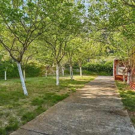 With Parking Space Babino Polje, Mljet - 22319 Appartement Babino Polje