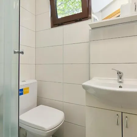 Apartment With Parking Space Babino Polje, Mljet - 22319 *