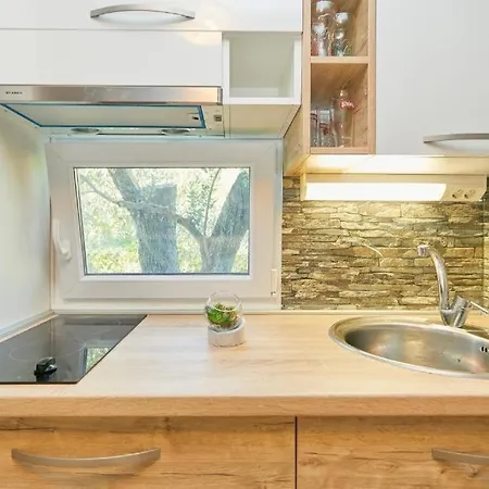 With Parking Space Babino Polje, Mljet - 22319 Apartment