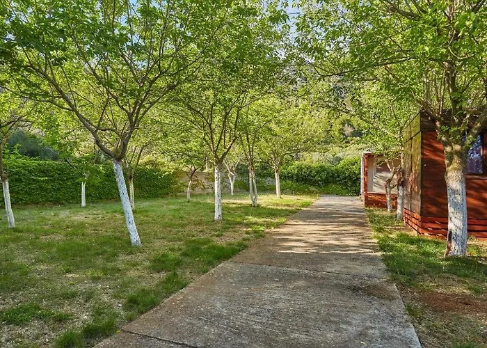 With Parking Space Babino Polje, Mljet - 22319 Апартаменты Babino Polje